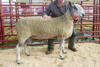 Bluefaced Leicester Shearling from Messrs McClymont Kirksteads sold for £900